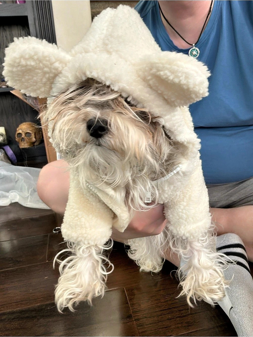 Small like new Monchouchou Hi! Bear Fur Zip-up Jacket Cream Dog Costume or seate